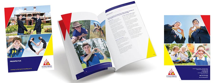 Concordia-Grapic_prospectus